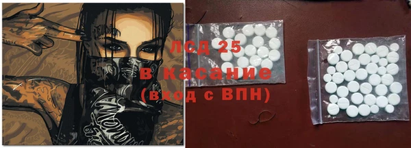 PSILOCYBIN Абаза