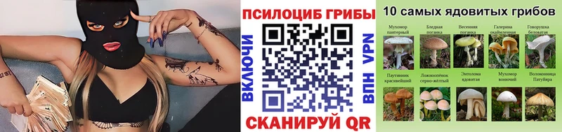 Псилоцибиновые грибы Magic Shrooms  купить наркотик  Красный Сулин 